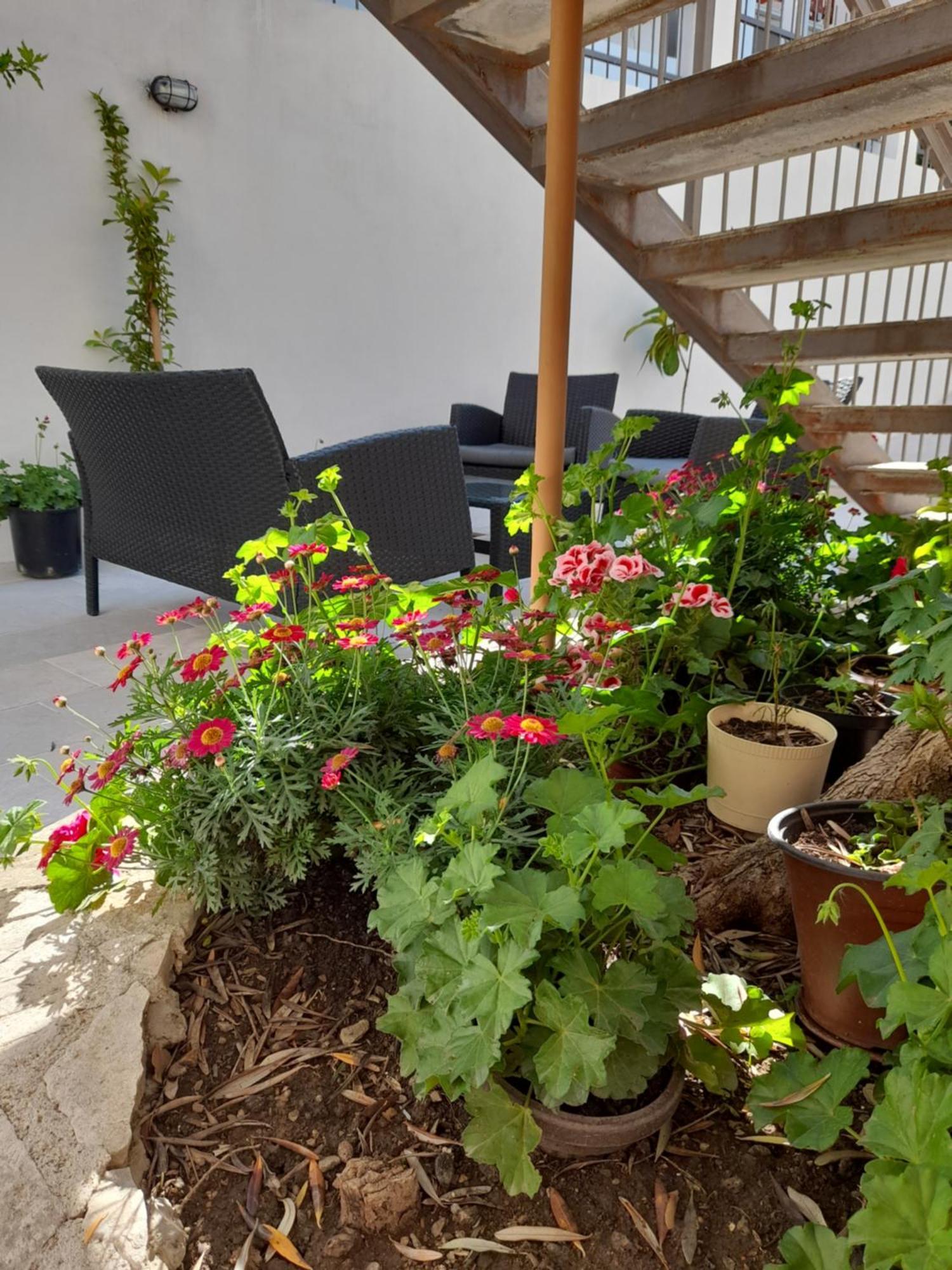 בודווה " Villa Kruna Lux " מראה חיצוני תמונה